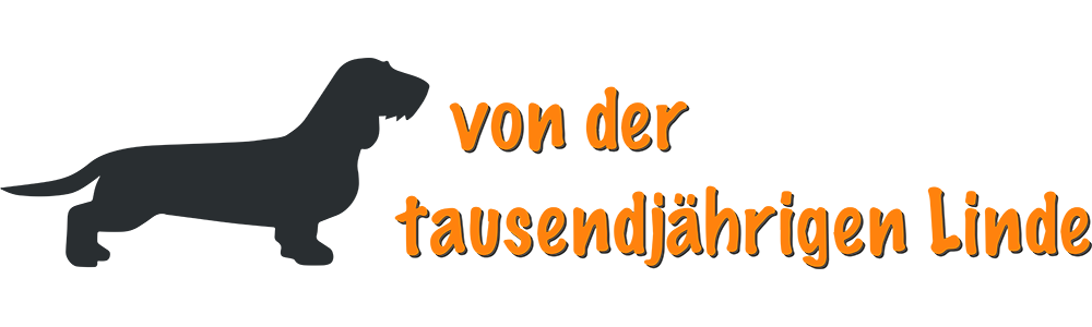 Dackelzucht Niedersachsen